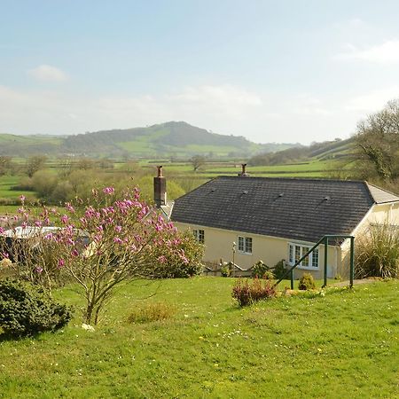 Bed and Breakfast Bryn Hebog Кармартен Экстерьер фото